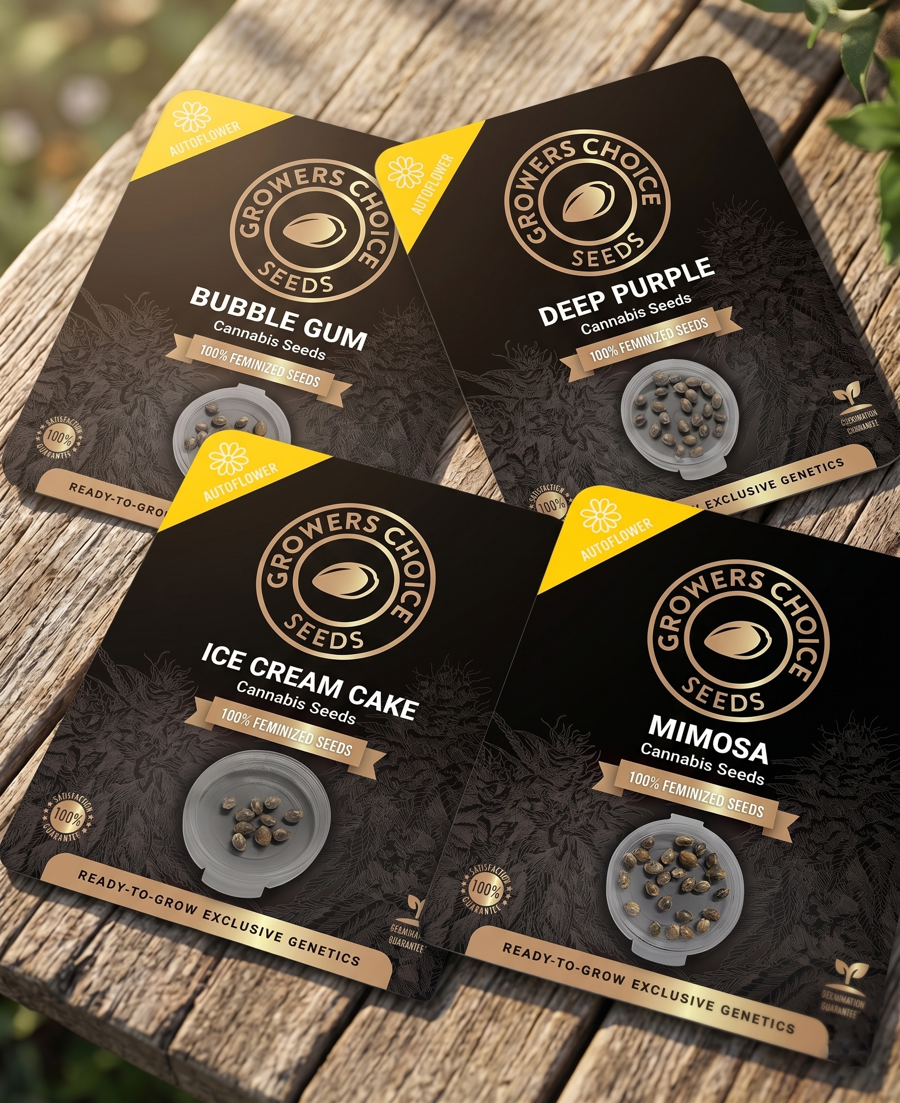 Growers Choice Seeds packs — Bubble Gum, Deep Purple, Ice Cream Cake and Mimosa